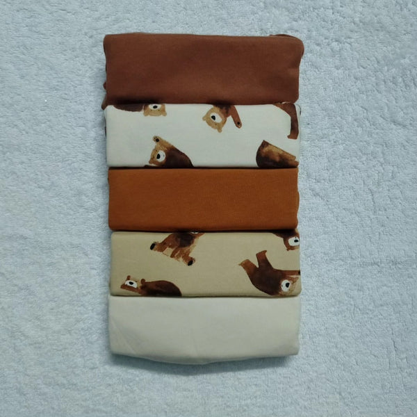 Bear Hugs Bodysuit Set – Full Sleeves 5 Pack
